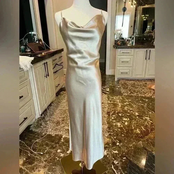 Birdy Grey Dresses & Skirts - Birdy Grey Champagne Metallic Drape Neck Shiny Satin Dress-Size Small